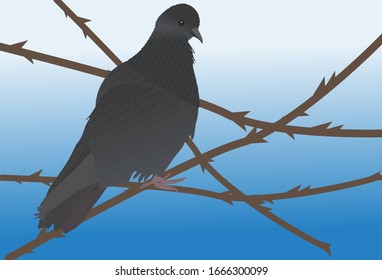 Vector illustration of a pigeon on a blue sky background. Template, decoration, banner.