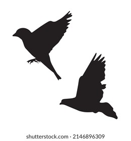 Vector illustration of pigeon silhouette