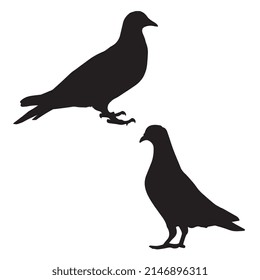 Vector illustration of pigeon silhouette