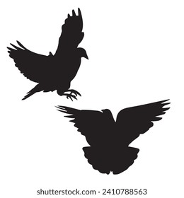 Vector Illustration of Pigeon Silhouette