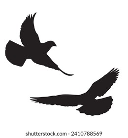 Vector Illustration of Pigeon Silhouette