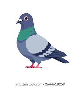 vector illustration of a pigeon standing on the ground. Detailed cartoon bird with grey, blue, and green feathers. Perfect for urban, nature, and animal themes