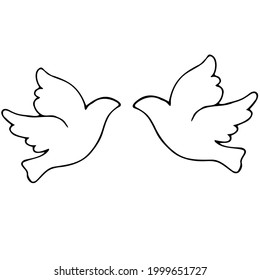 Vector illustration of pigeons on a white background.    