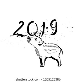 Vector illustration of piglet in graphic style with ink splash, hand drawing illustration. Happy New Year 2019 card.