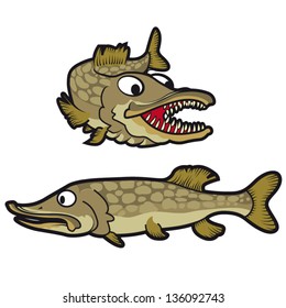 Vector illustration of pike fish
