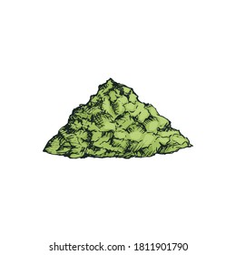 Illustration vectorielle d'un tas de poudre de thé matcha à base de feuilles de thé dans une couleur de dessin à main levée. Icône thé en poudre ou algues utile