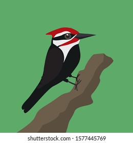 A vector illustration of a pileated  woodpecker on a tree trunk with a green background