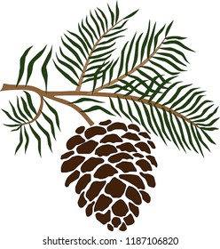 vector illustration of a pine branch with pine cone