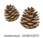 Vector illustration of pine cone