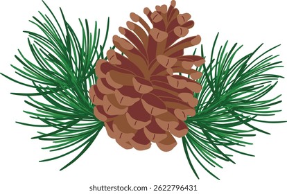 Vector illustration of a pine cone.