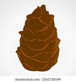 Vector illustration of pine cone isolated on white.