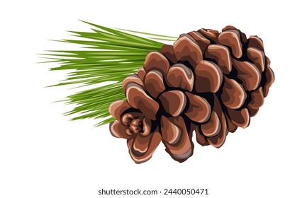 Vector illustration, pine cone with leaves, isolated white background.