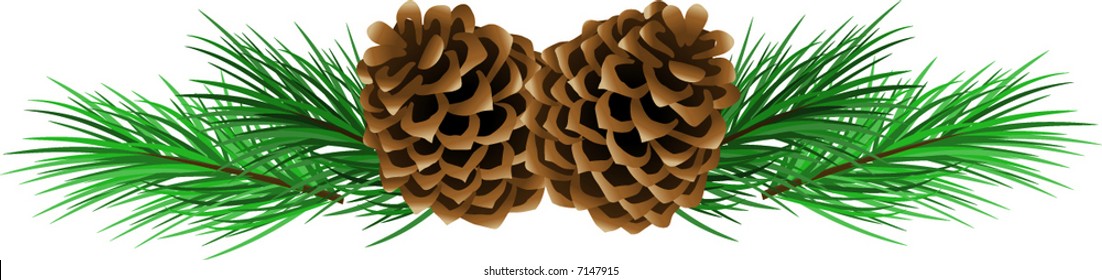 Vector illustration of pine cones with pine needles