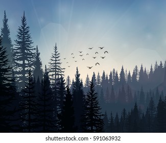 Vector illustration of Pine forest landscape background