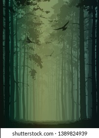 vector illustration with pine forest silhouette. Alley of pines and flying birds.