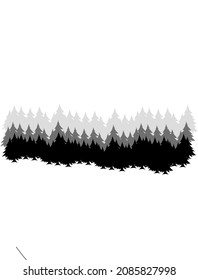 Vector illustration of pine jungle with pine trees