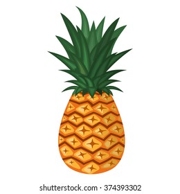 Vector illustration of pineapple