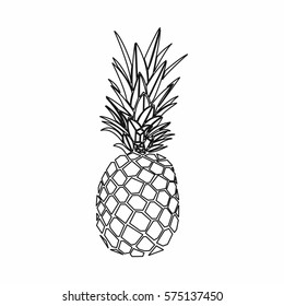 vector Illustration of a pineapple
