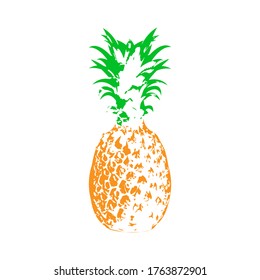 Vector illustration of pineapple in Doodle style for theme design, isolated on white background
