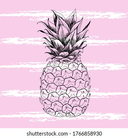 Ilustración vectorial de la piña. Dibujado a mano. Crea un ambiente tropical de verano.