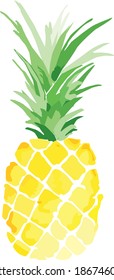 vector illustration of pineapple fruit
