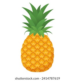 Vector illustration of pineapple fruit