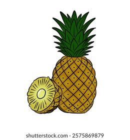 vector illustration of pineapple fruit in cartoon style. whole and split fruit. Healthy fruit, vegetarian product.