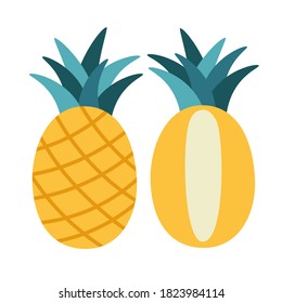 Vector illustration of pineapple and half of pineapple isolated on a white background.  Hand-drawn vector pineapple set. Trendy tropical fruit illustration for web and print design.