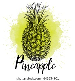 Vector illustration of pineapple in hand drawn graphics. The fruit is depicted on a yellow watercolor background. Design for packaging juice or dessert