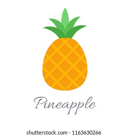 Vector illustration of pineapple icon in flat style with title, isolated on white background