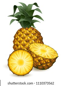 Vector illustration - Pineapple isolated on white