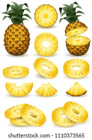 Vector illustration - Pineapple isolated on white