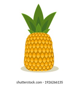 vector illustration of pineapple, isolated on a white background