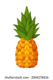 Ilustración vectorial de una piña aislada en un fondo blanco. Frutos de verano, para una vida sana y natural. 