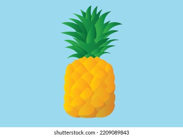 Vector illustration of a pineapple isolated on blue background.