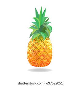 Vector illustration of  pineapple isolated on white background