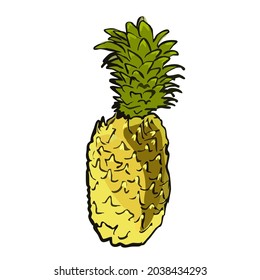 Vector Illustration pineapple isoleted on white background 