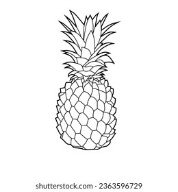 Vector illustration of pineapple lineart isolated for coloring on white background