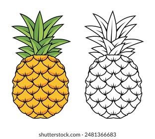 Vector Illustration of pineapple with lines and colors, for children's coloring book