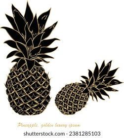 vector illustration Pineapple. Luxurious golden color. Made it for graphic design. The sign includes the background. Looks beautiful and classy and can be used to decorate in many ways.black glold