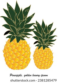 vector illustration Pineapple. Luxurious golden color. Made it for graphic design. The sign includes the background. Looks beautiful and classy and can be used to decorate in many ways.gold yellow
