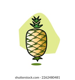 vector illustration of a pineapple on a circle background