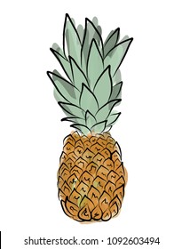 Vector illustration Pineapple on the white background.  Hand drawn fruit isolated on white. Illustration for posters, t-shirt and other things.