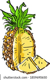 Vector illustration with pineapple, a piece of pineapple