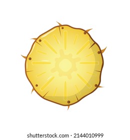 Vector illustration of pineapple ring isolated on white background. Sliced tropical fruit.