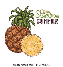 Vector illustration of pineapple in sketch style. Lettering: aloha sweet time summer. Isolated objects for your design. Each object can be changed and moved.