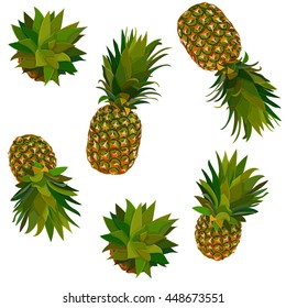 Vector illustration of pineapple. Tropical background
