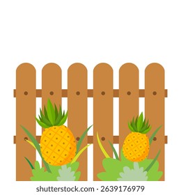 Vector illustration of pineapples behind a wooden fence, surrounded by tropical leaves.