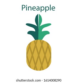 Vector illustration of a pineapple.Template of a pineapple colorful illustration.Flat isolated vector elements for different design.