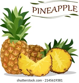 Vector illustration with pineapple.Whole and cut pineapples on a transparent background in color vector illustration with text.
